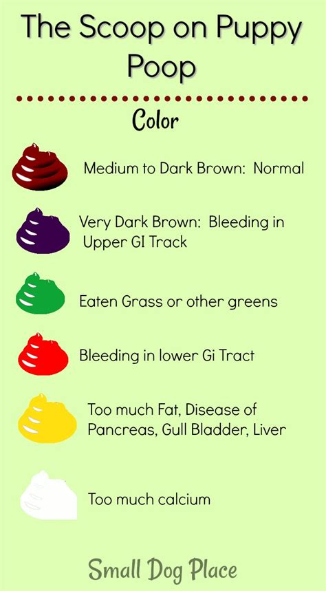 Puppy Poop Color Chart