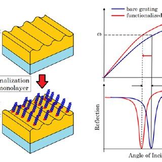 Homola, surface plasmon resonance sensors for detection of chemical and biological species. a) Kretschmann SPR configuration. b) SPP excitation with ...