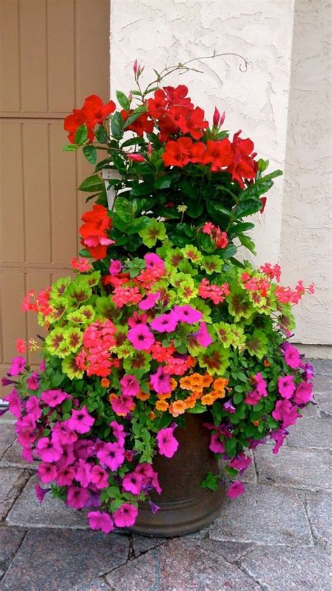 Full Sun Container Plants Ideas 26 Mixed Flower Pots Container