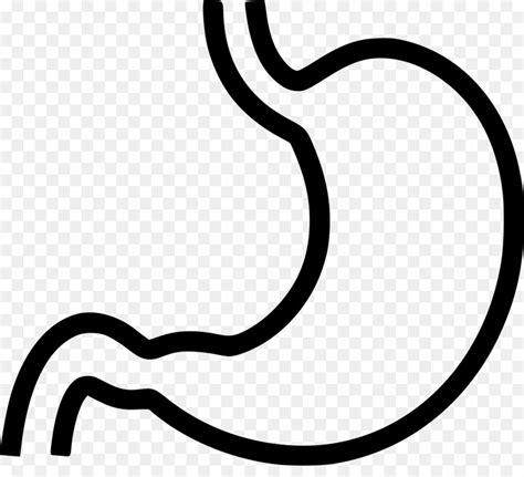 Not in love with the angle but like the verticality. Library of stomachs clip art black and white png files ...