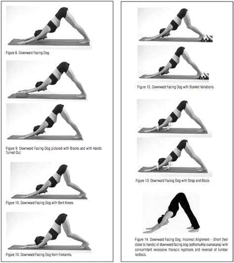 Take your time and think about relieving tight areas and the major muscle groups for soccer players (quads, hamstrings, groins, calves, etc). Biomechanical precepts define 21st century yoga | Lower ...