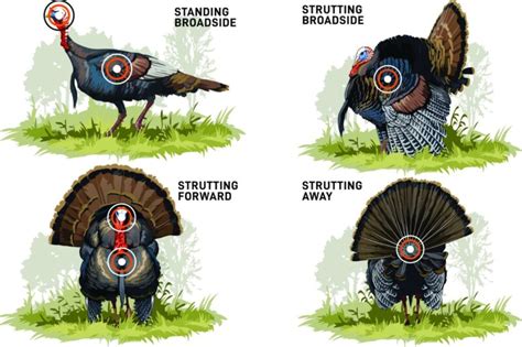 Successful Turkey Hunting A Proven Approach Christensen Arms