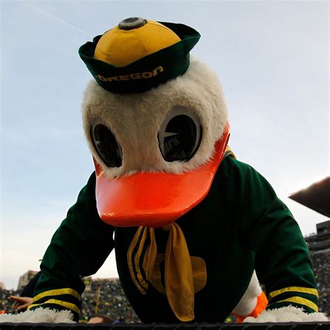 Oregon Ducks Awful Weekend Included Miserable Mascot Moments News