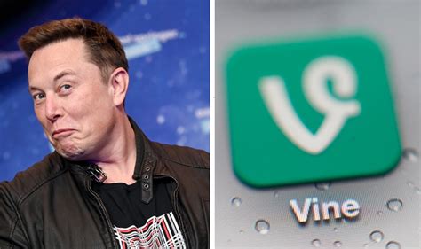 Are Y All Here For It Elon Musk Considering Bringing Back Vine Asks