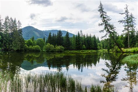 Free Images Tree Wilderness Mountain Meadow Lake Pond