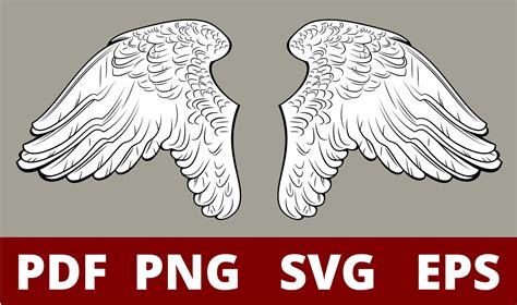 Angel Wings Svg Angel Wings Png Swan Dove Birds Icons Etsy Canada