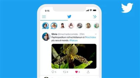 Twitter announced on tuesday that it was rolling out a new feature known as fleets. Twitter Fleets May Remain Visible Even After Disappearing