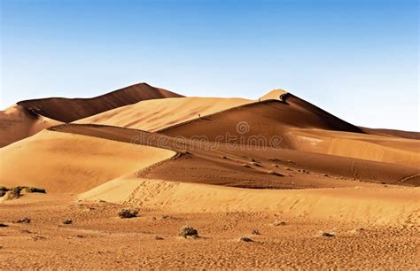 Sand Dune In The Namibian Desert Near Sossusvlei In Namib Naukluft