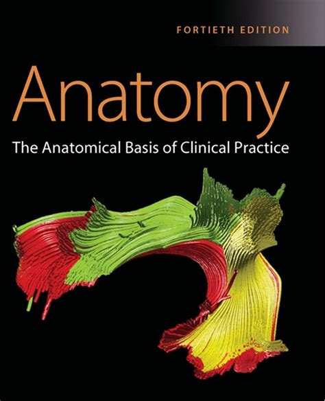 Anatomiczny Grays Anatomy The Anatomical Basis Of Clinical Practice