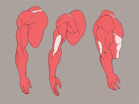5 Strong Tutorials For Learning How To Draw Anime Muscles Мужское
