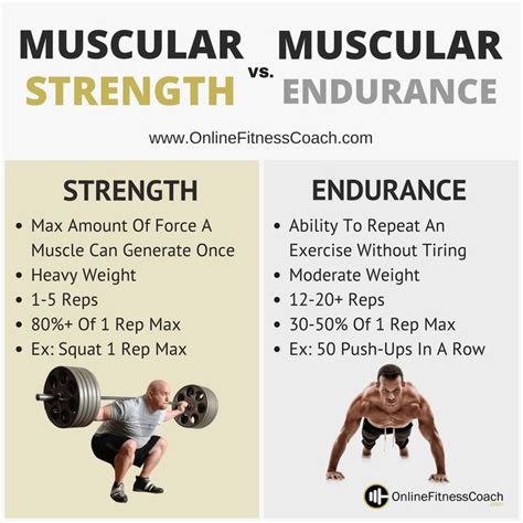 Muscular Strength And Muscular Endurance Endurance Workout Strength