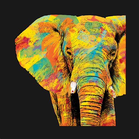 Rainbow Elephant Elephant T Shirt Teepublic