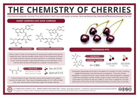 The Science Of Sweet And Sour Cherries Mental Floss