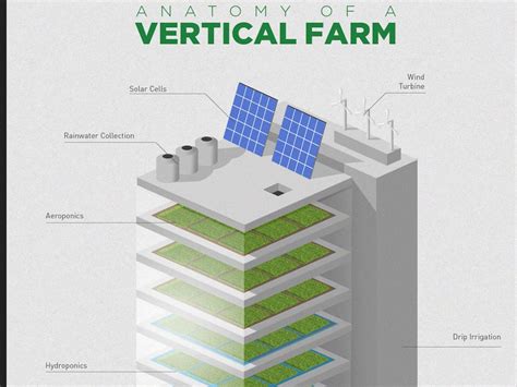 How Vertical Farming Works Infographic