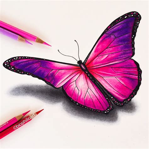 Picture Of A Pink Butterfly Drawn Using Colored Pencils Butterfly