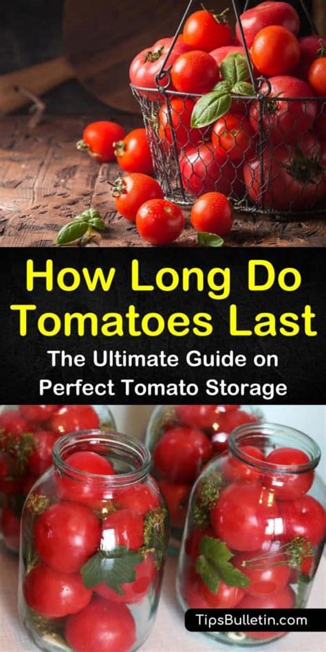 How Long Do Tomatoes Last The Ultimate Guide On Perfect Tomato