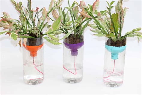 We did not find results for: 14 DIY Self-Watering Planters For The Ones Without A Green Thumb