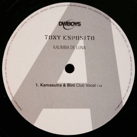 Kalimba de luna 6 tony esposito 3:22320 kbps мастер + бэк. Tony Esposito - Kalimba De Luna (1999, Vinyl) | Discogs