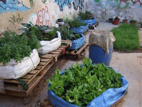 Style And Design Ideas For A Community Garden