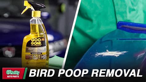 How To Remove Bird Poop From Car Paint Youtube