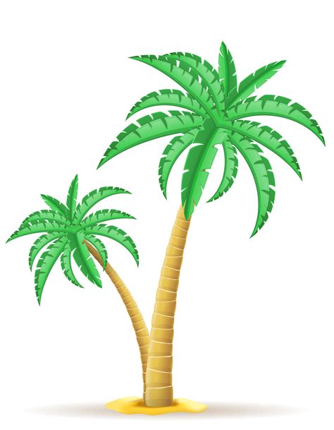 Palm Tree Vector Illustration Vector Art At Vecteezy Hot