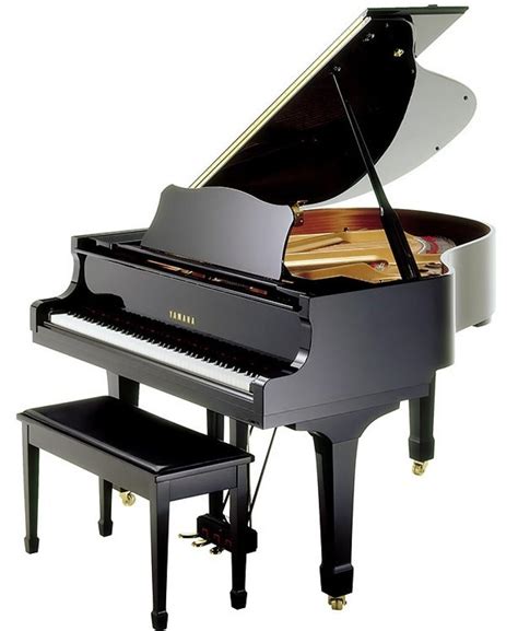 Yamaha Baby Grand Piano Pianopiano Piano Rentals More