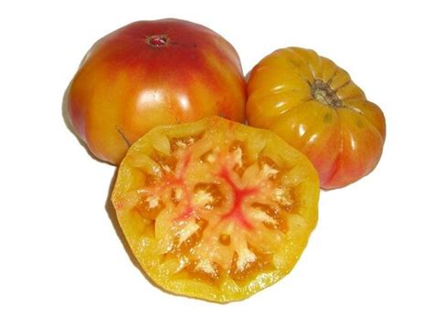 Striped German Heirloom Tomato Seeds By Kaylaladida On Etsy
