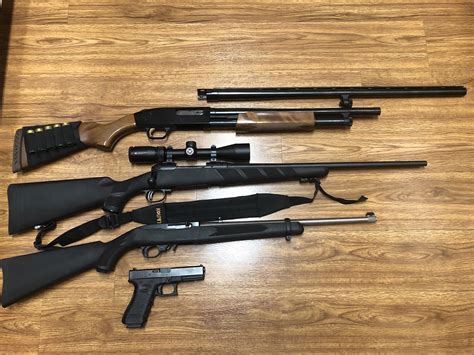 Four Gunstypes Of Guns That Everyone Should Own Rfirearms