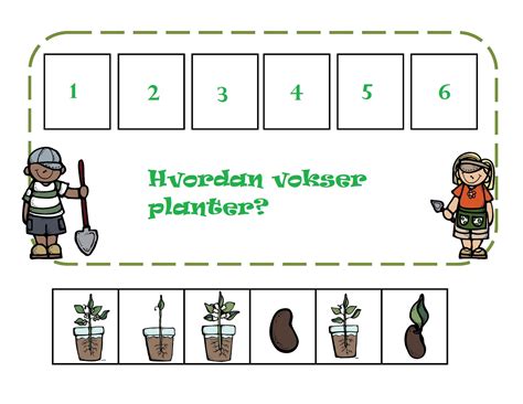 Plant Sequence Worksheet For Preschool