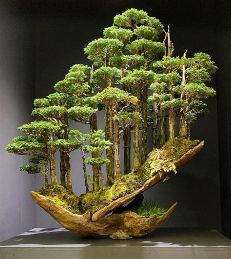 Coba kali ini bikin yang agak beda. Cara Membuat Bonsai Krokot Terbaru | Cahunit.com