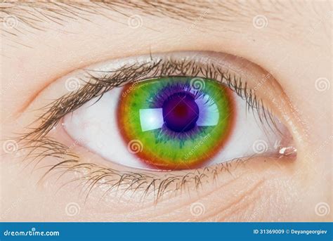 Human Eye Stock Image Image Of Care Female Beautiful 31369009