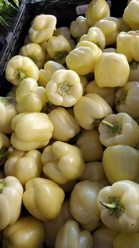 White Bell Peppers Information And Facts