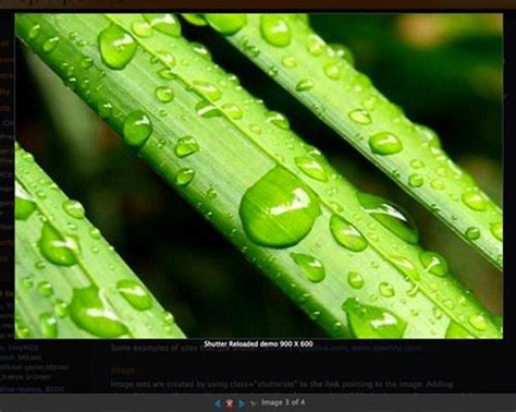 10 best photo gallery and slideshow wordpress plugins photo photo galleries wordpress plugins