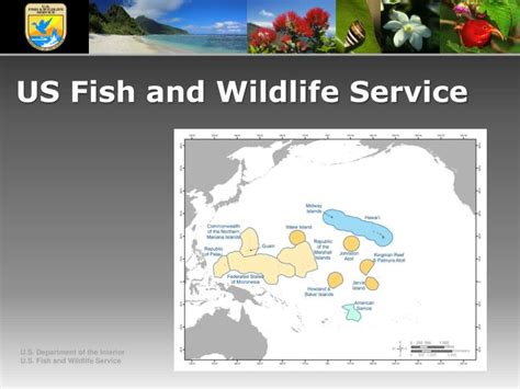 Ppt Us Fish And Wildlife Service Powerpoint Presentation Free