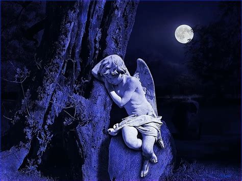 Angel Of Moonlight Yorkshirerose Wallpaper 21811321 Fanpop
