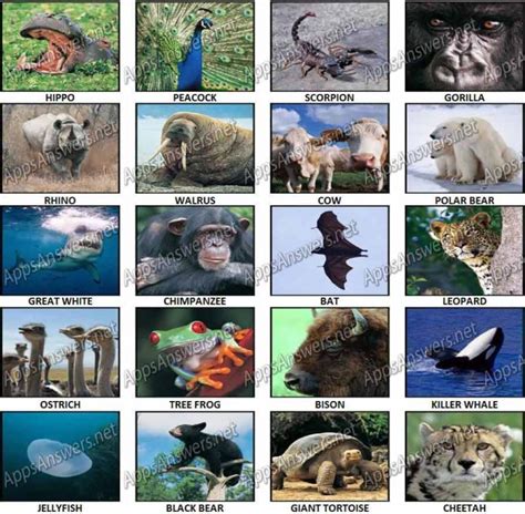 100 Pics Animal Planet Level 21 Level 40 Answers Win An Ipad