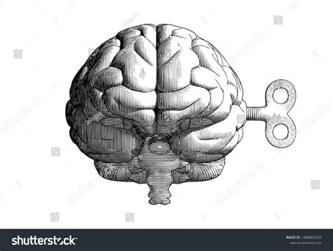 Monochrome Vintage Engraving Drawing Human Brain Stock Vector Royalty