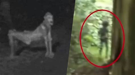 5 Scariest Creatures Caught On Camera And Spotted In Real Life Scary