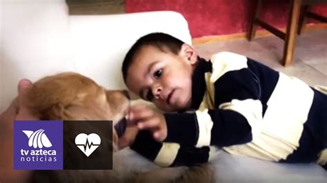 Usan Perros Para Tratar A Niños Autistas Youtube
