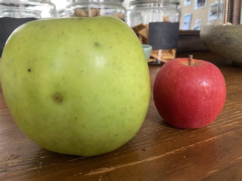 Comparison Of This Granny Smith My Grandma Grew And This Store Bought