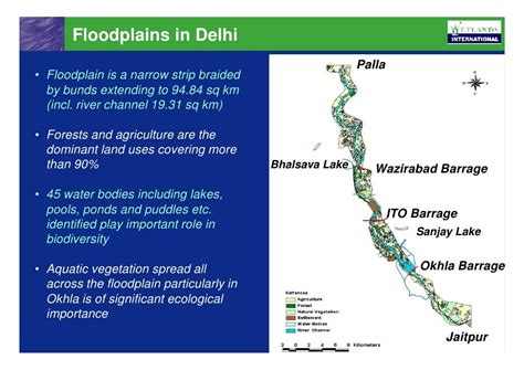 Reviving Floodplains Reviving The Yamuna River India