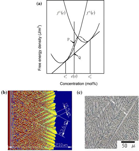 Phase Field Simulation By Kks Model A Relationship Curve Of