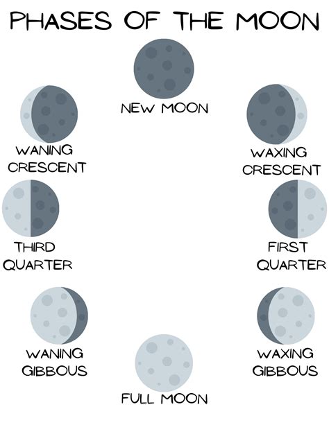 Phases Of The Moon Chart Imago