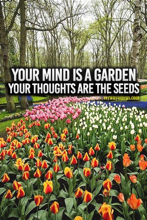 Your Mind Is A Garden Your Thoughts Are The Seeds More Quotes