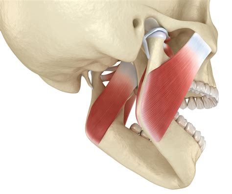 Masks And Your Temporomandibular Joint Tmj Active Sports Therapy