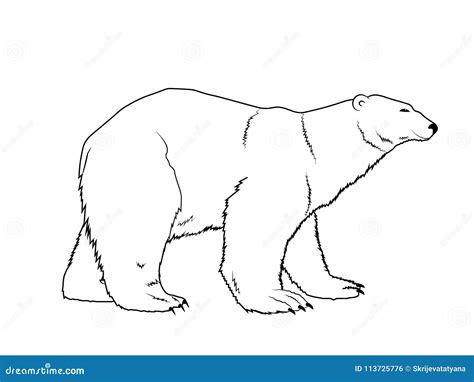 Polar Bear Silhouette