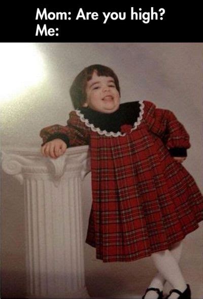 25 Most Funniest High Meme Pictures And Photos Of All The Time Your daily dose of fun!