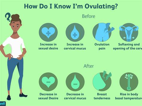 10 Days Past Ovulation Cervical Mucus