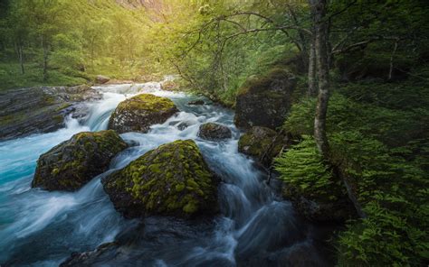 Rushing River Through The Forest Image Abyss