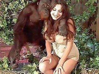 Woman Fucked By Chimp Telegraph